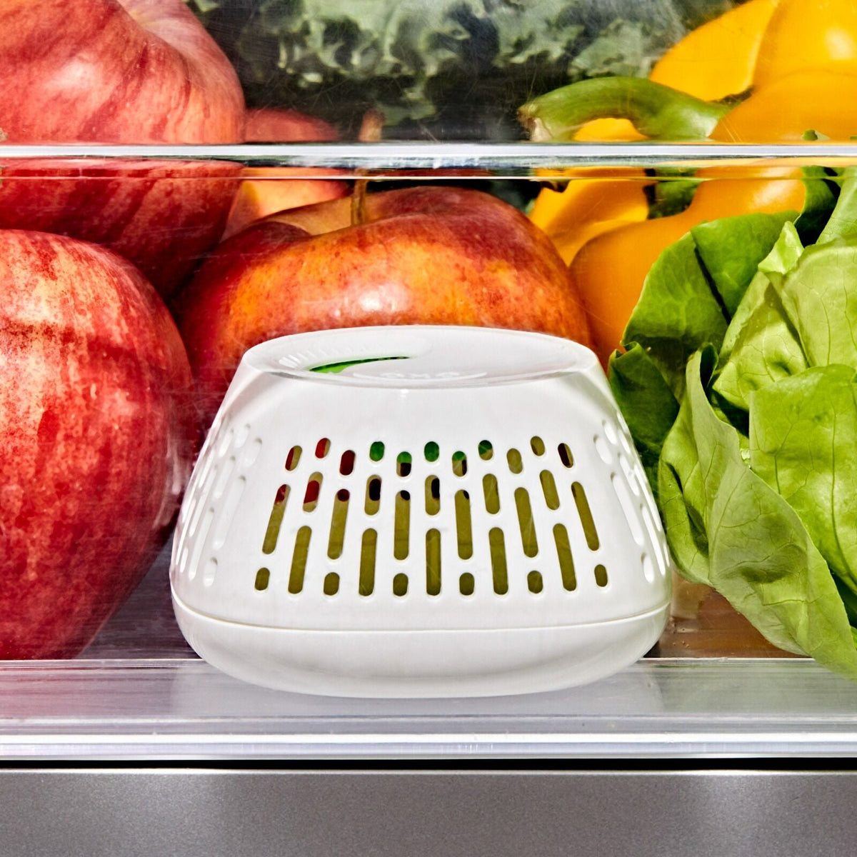 produce-saver-crisper-drawer-insert-2-pack-t4 gg_11427700_greensaver-crisper-drawer-insert_pdp_02.jpeg