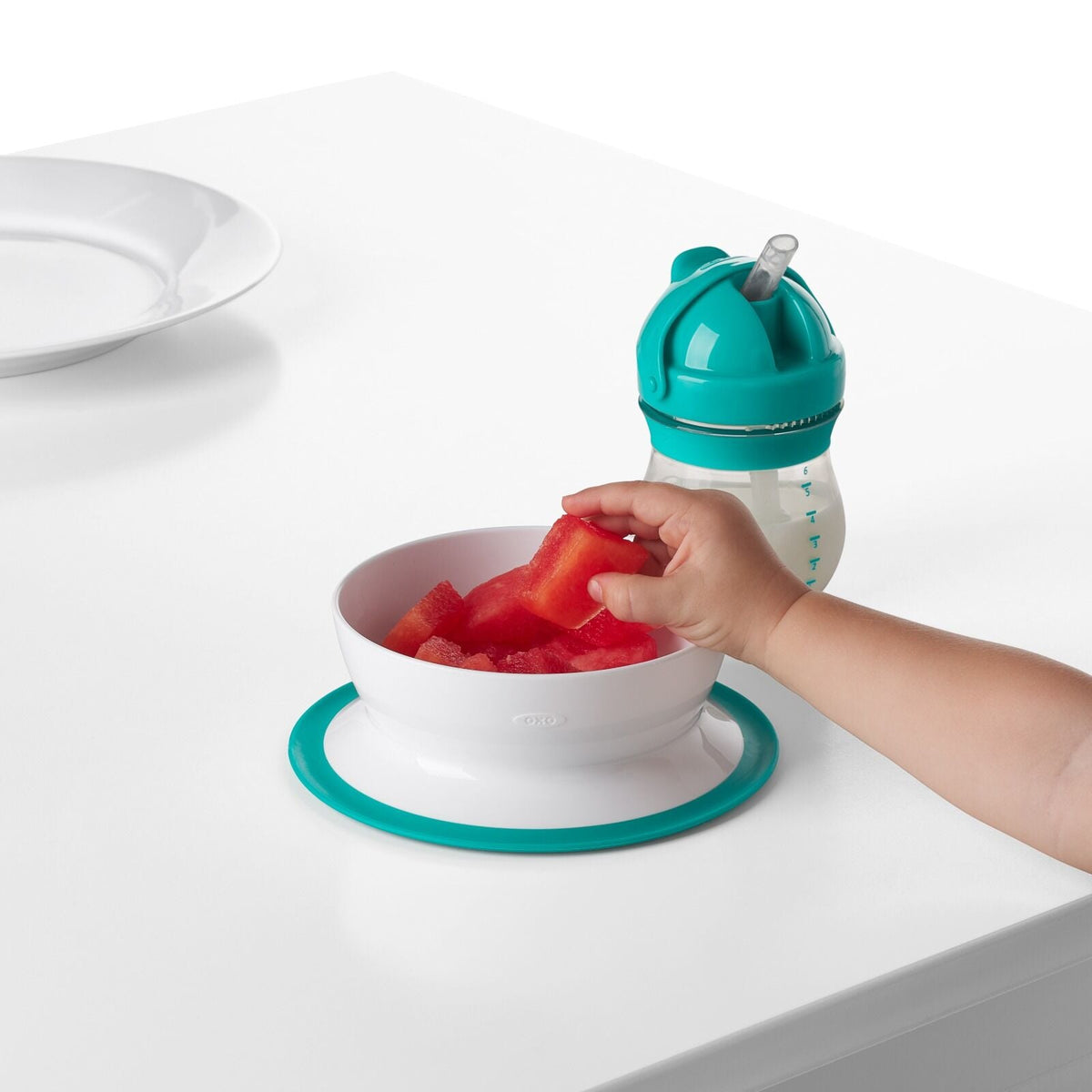 stick-and-stay-suction-bowl-r4 tot_61120600_4i.jpg