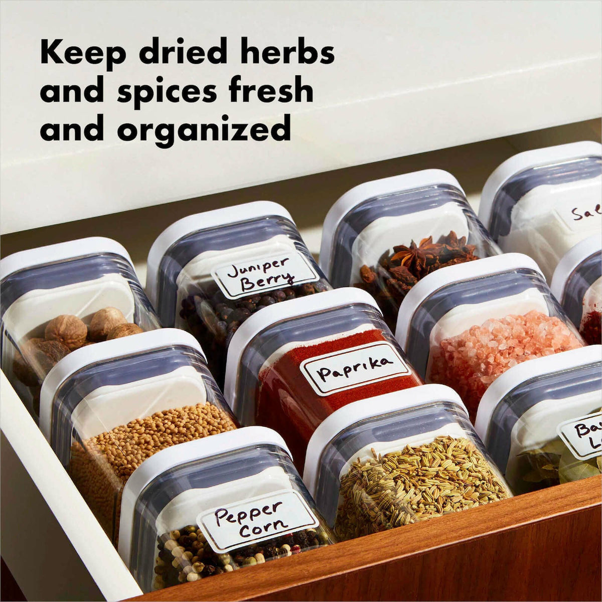 pop-4-piece-mini-container-set-x6 4_pieceaplusartboard_1-100_1_1_.jpg