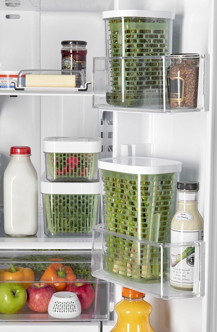 greensaver-standing-crisper-insert-1-pc-z5 gg_111212800_1a.jpg