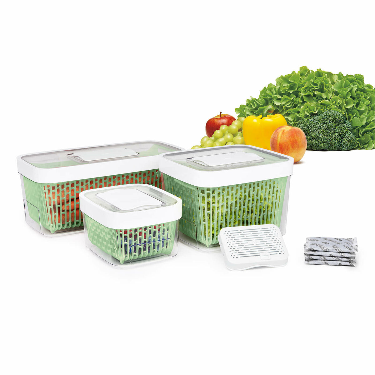 greensaver-produce-keeper-5-0-qt-r2 gg_11140000_1b_1__1.jpg