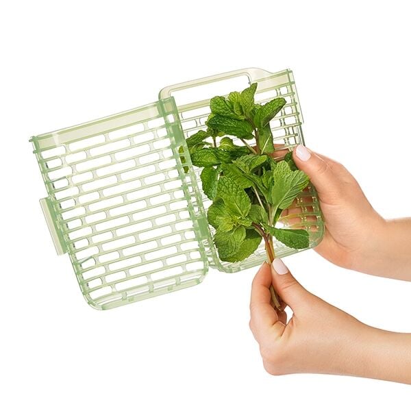 greensaver-herb-keeper-small-b2 gg_11212200_4.jpg