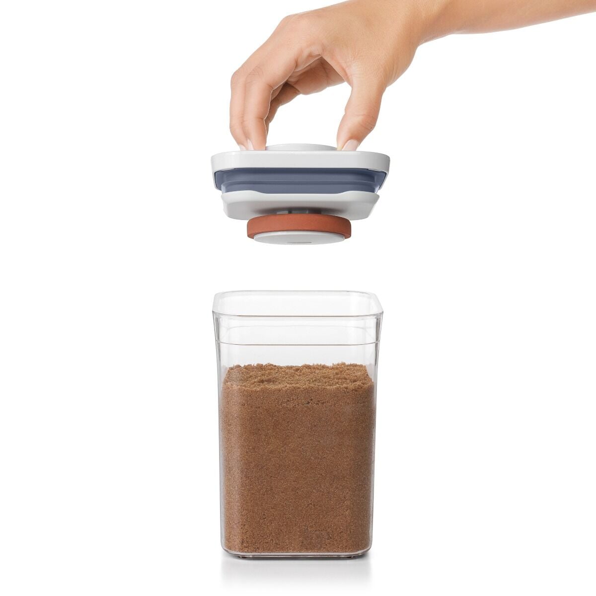 pop-brown-sugar-keeper-x2 gg_11235700_4_-v2.jpg