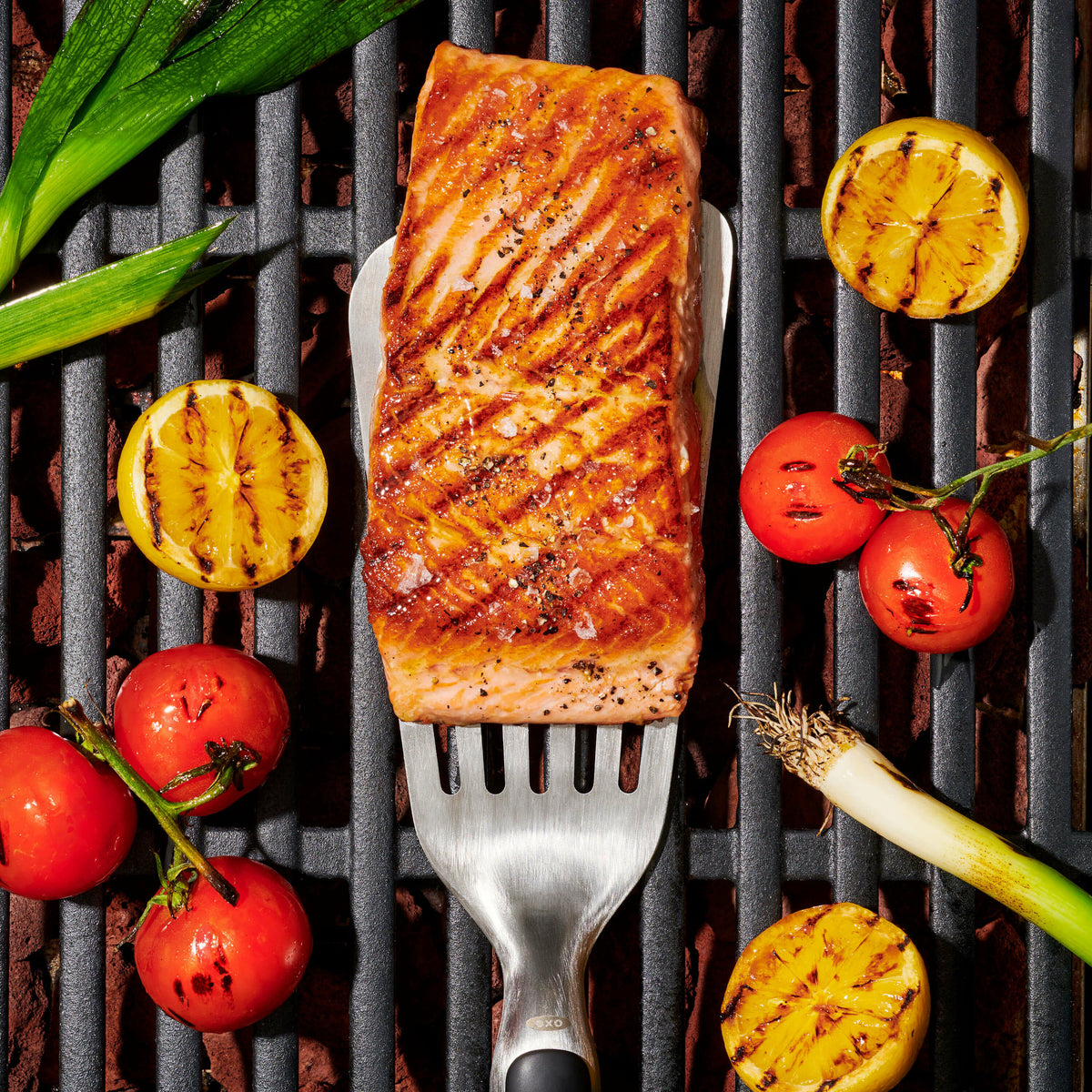 grilling-precision-turner-r2 gg_11309200_052020_11_rgb_1_.jpg