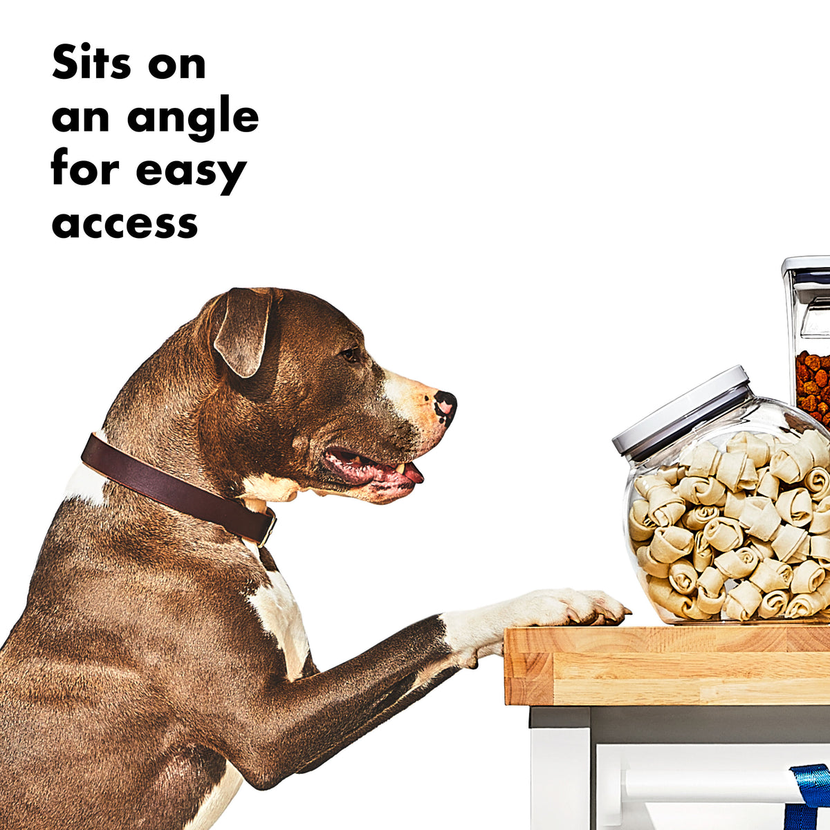 oxo-good-grips-pet-pop-container-3-0-qt-2-8-l-h3 gg_11332400_8b.jpg