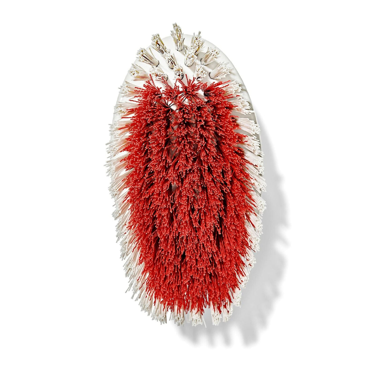 all-purpose-scrub-brush-2-pack-s2 gg_12426000_scrub-brush-2-pack_pdp_07.jpeg