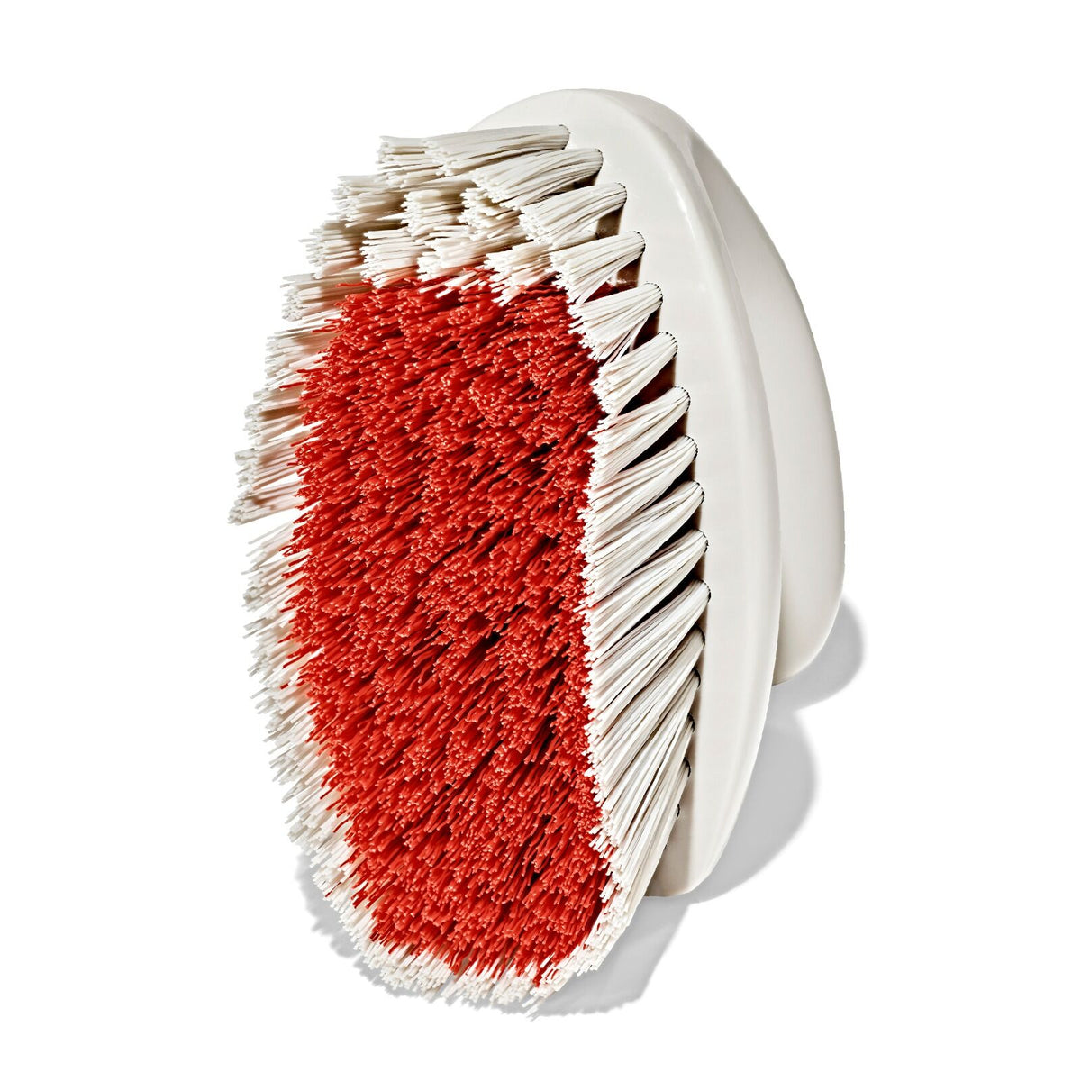 all-purpose-scrub-brush-2-pack-s2 gg_12426000_scrub-brush-2-pack_pdp_09.jpeg