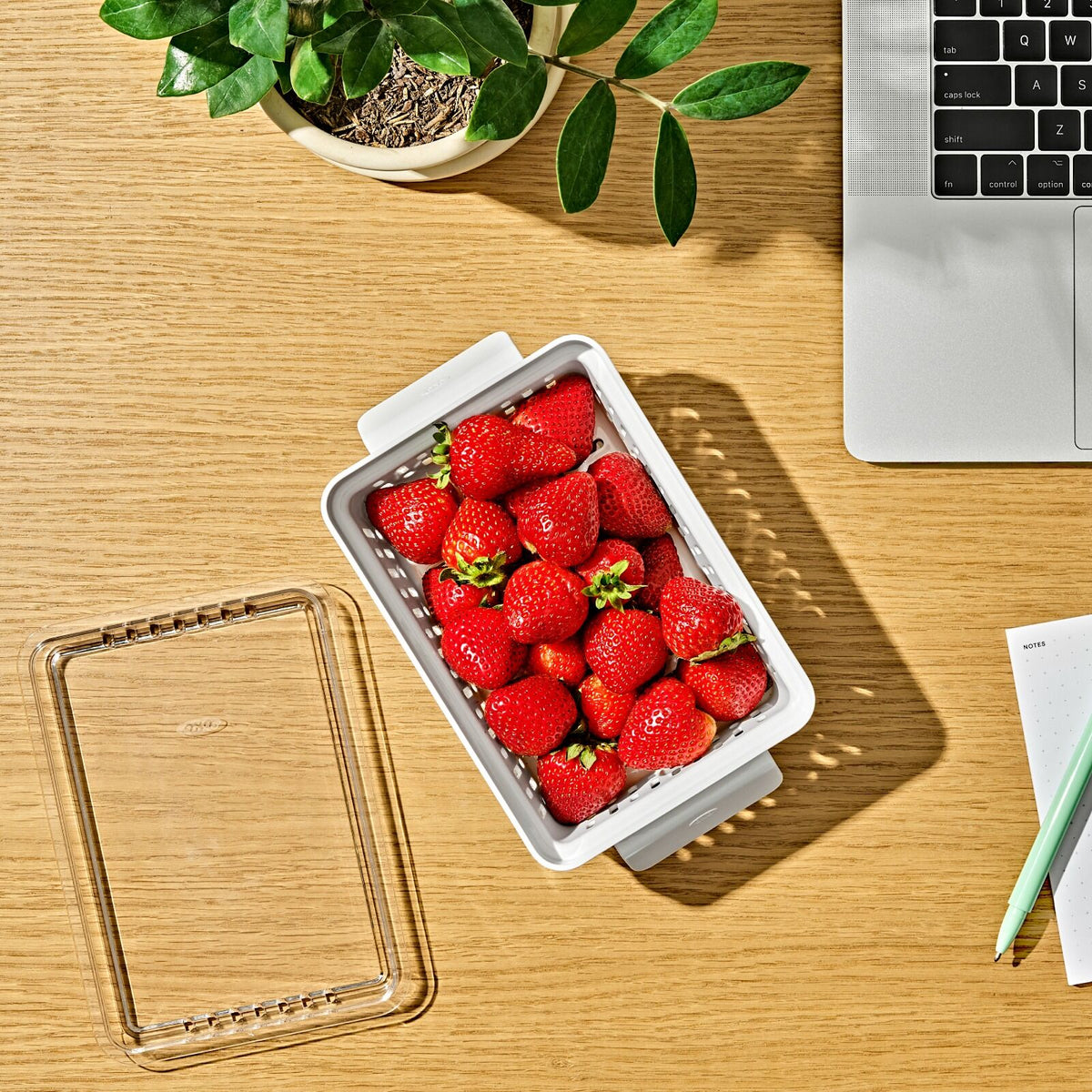 produce-saver-berry-keeper-2-piece-set-i0 gg_berry-keeper-produce-saver_pdp_01_1_.jpg