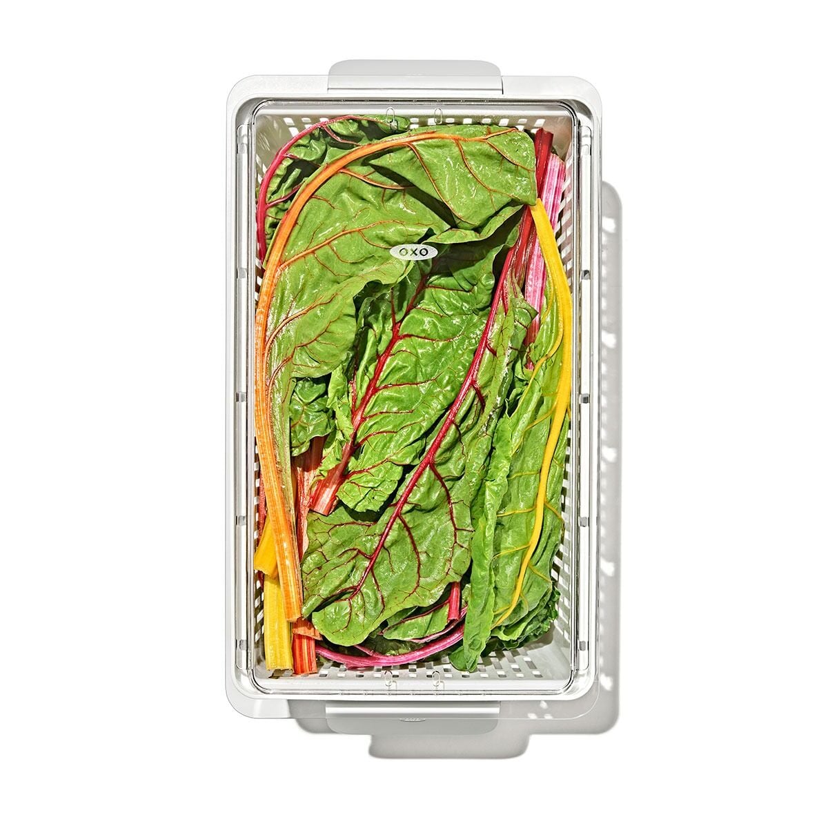 produce-saver-large-bin-b9 gg_sw_produce-saver-large_10.jpg