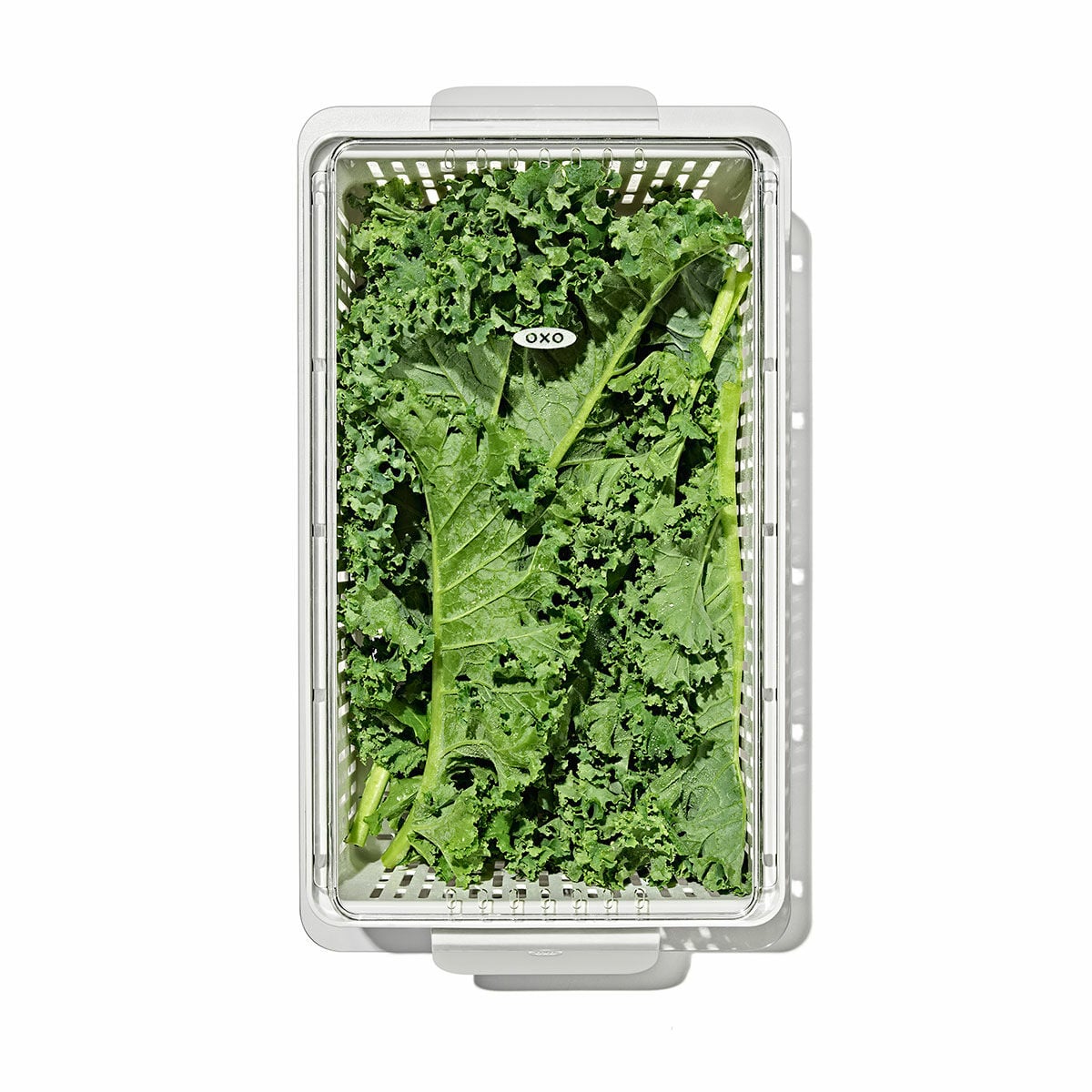 produce-saver-medium-bin-d8 gg_sw_produce-saver-medium_05.jpg