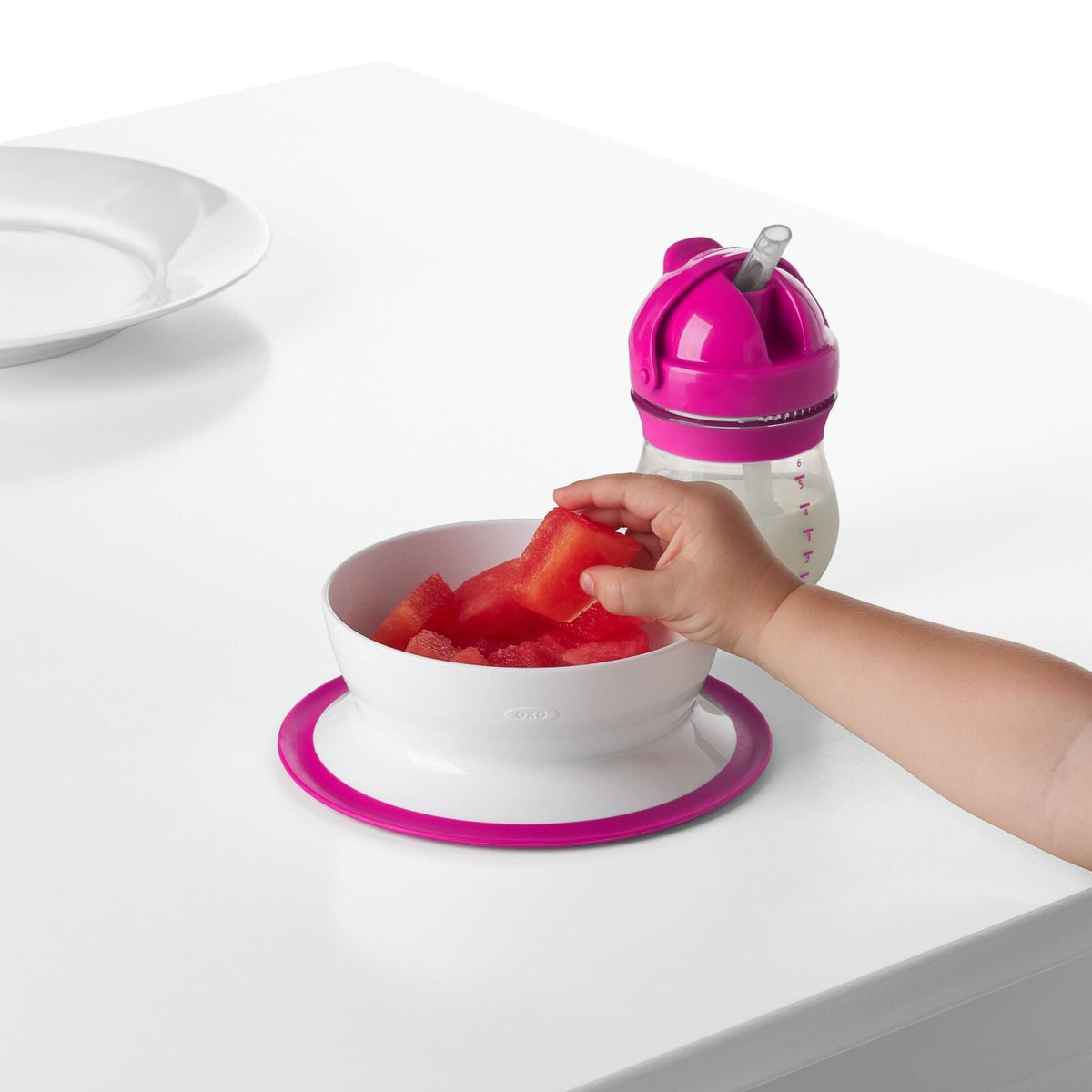 stick-and-stay-suction-bowl-t7 tot_61120500_4i.jpg